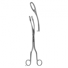 sample